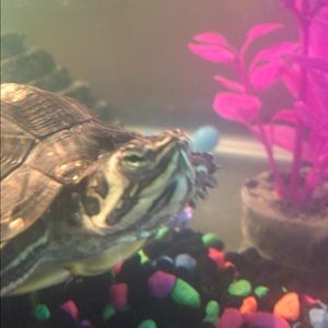 Meet your Posher, Kiera